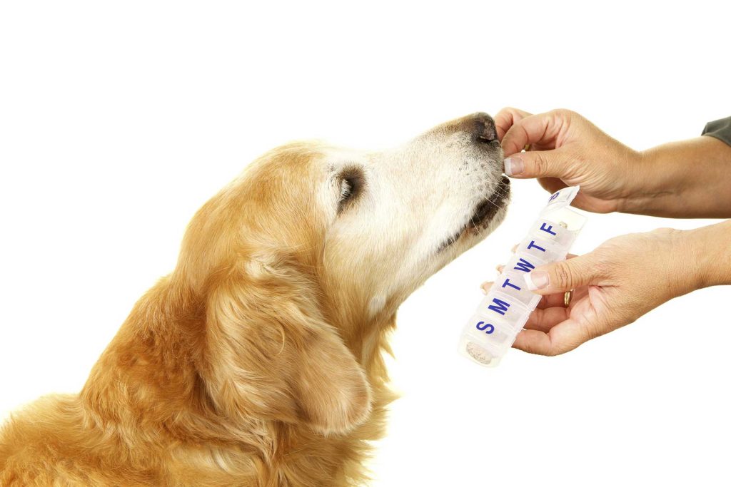 General Medicine and Illness Diagnosis