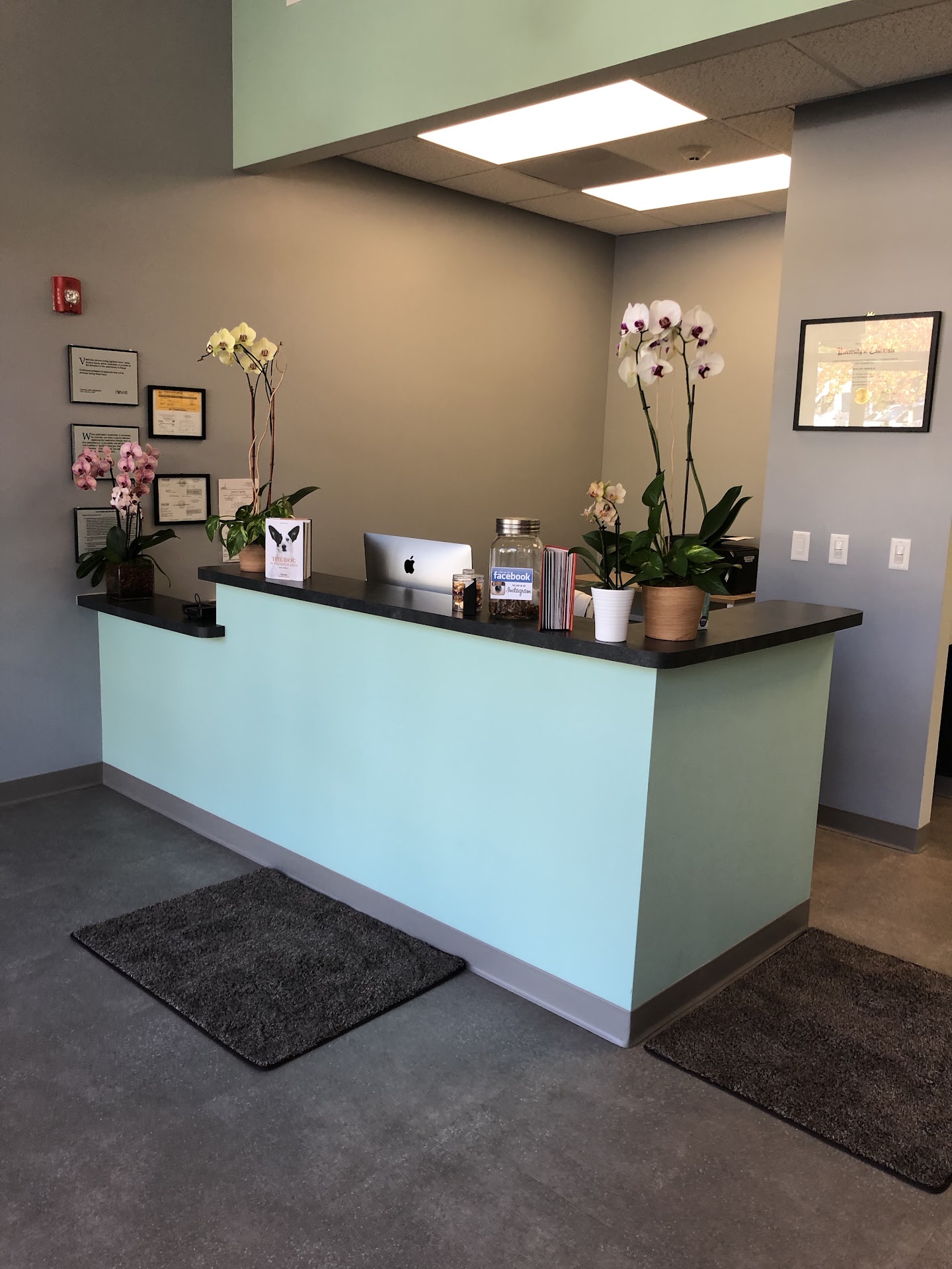Veterinarian in Fairfax, CA